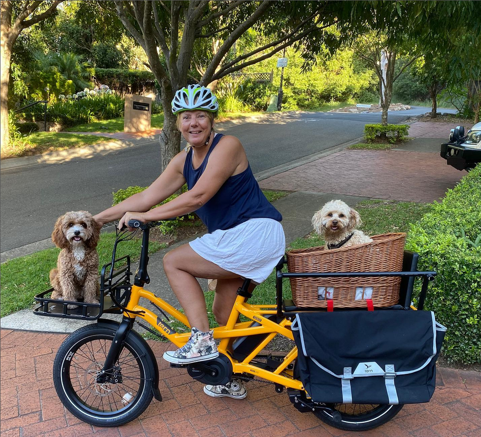 Cargo Bike Accessories Guide - What you need for passengers and cargo