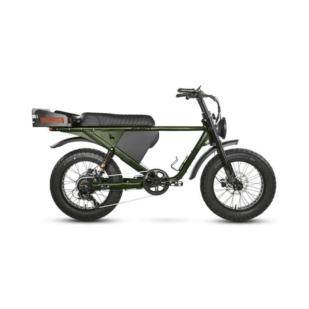 DiroDi Rover Pro 250w