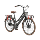 A Lekker Jordaan step-through electric bicycle in matte black with brown leather saddle and tires, featuring a front rack, rear cargo rack, and red luggage straps, shown against a plain white background.
