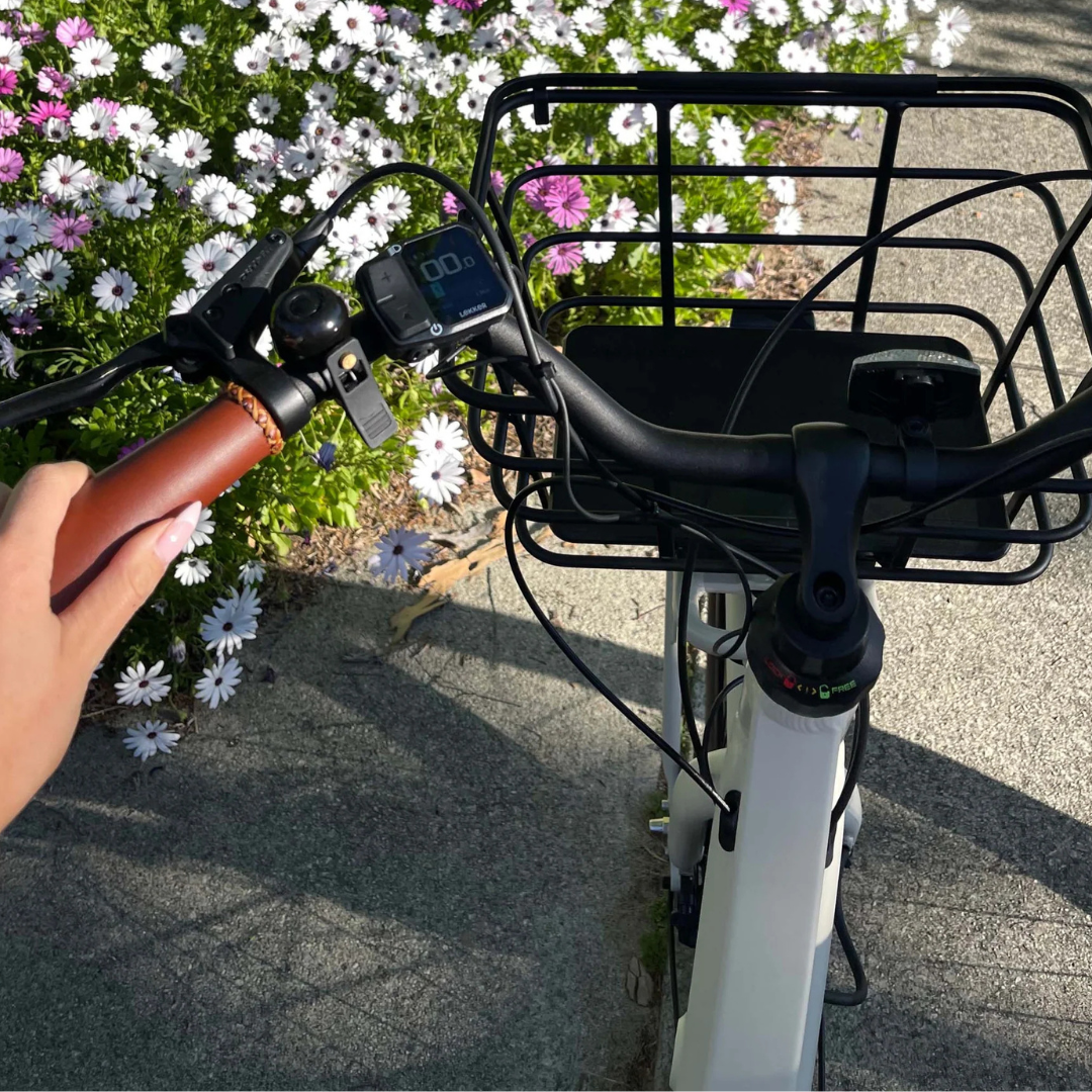 A close-up view of an Lekker Jordaan electric bicycle handlebar with a black front basket, a digital display mounted on the handlebar, and a hand gripping a brown leather grip. The bike is outdoors on a paved path with white and pink flowers in the background.