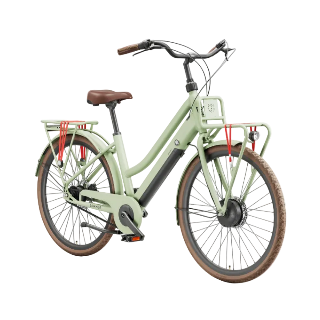 A step-through electric bicycle in a light sage green color, featuring brown leather saddle and grips, brown tires, and red luggage straps, shown against a plain white background.