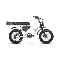 Dirodi Rover Pro 250w
