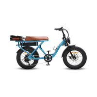 Dirodi Rover Standard Gen 6 250W