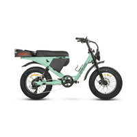 Dirodi Rover Pro 250w