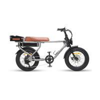Dirodi Rover Standard Gen 6 250W
