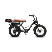 Dirodi Rover Standard Gen 6 250W