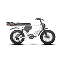 Dirodi Rover Pro 250w