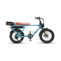 Dirodi Rover Standard Gen 6 250W
