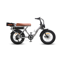 Dirodi Rover Standard Gen 6 250W